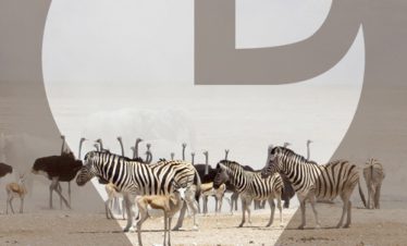 Etosha National Park