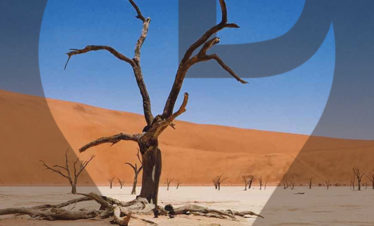 3 Day Sossusvlei Camping – Swakopmund to Windhoek